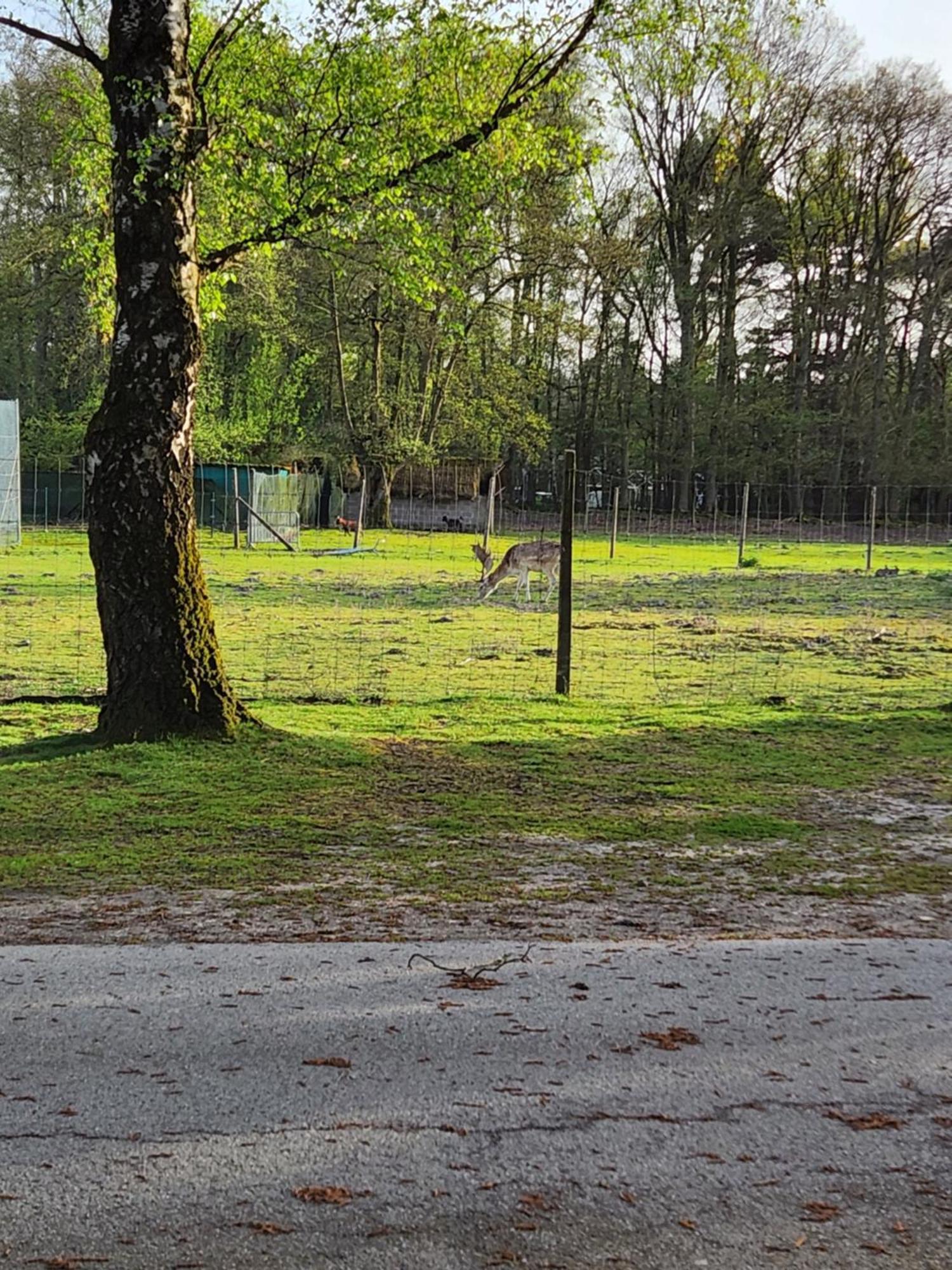 Bungalow Willerby Maasmechelen Kültér fotó